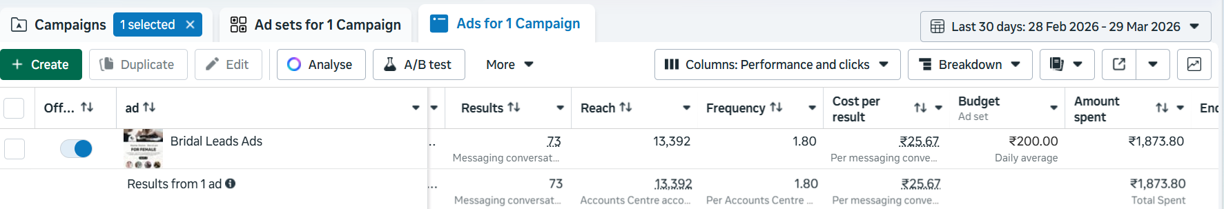 Facebook ads for salon business case study]